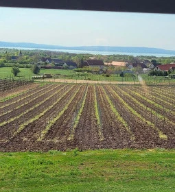 Dobosi Birtok étterem és borbár