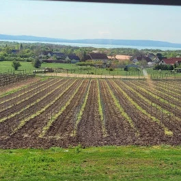Dobosi Birtok étterem és borbár Szentantalfa - Külső kép