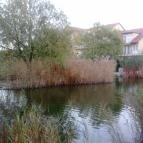 Bonita Apartman Hotel Cserkeszőlő - Környék