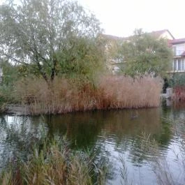 Bonita Apartman Hotel Cserkeszőlő - Környék