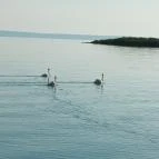 Hotel Európa & Hungária Siófok Siófok - Egyéb