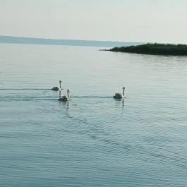 Hotel Európa & Hungária Siófok Siófok - Egyéb