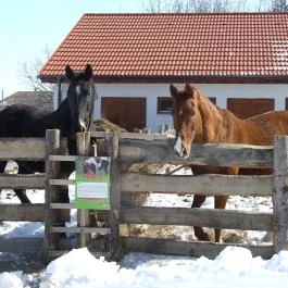 Hotel Hunor, Sátoraljaújhely - Egyéb