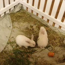 SunGarden Wellness Hotel Siófok - Egyéb