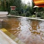 Termál Hotel Pávai Berekfürdő - Medence/kert