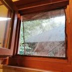 Derítő-tó Tata - Egyéb