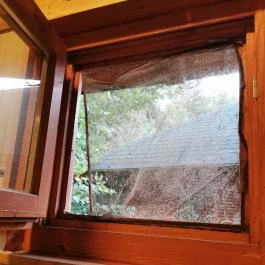 Derítő-tó, Tata - Egyéb