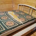 Derítő-tó Tata - Egyéb