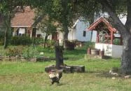 Múltidéző Vendégház Szalafő