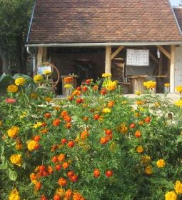 Múltidéző Vendégház