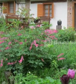 Múltidéző Vendégház