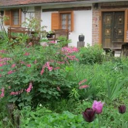 Múltidéző Vendégház Szalafő - Külső kép