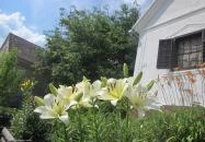 Múltidéző Vendégház Szalafő