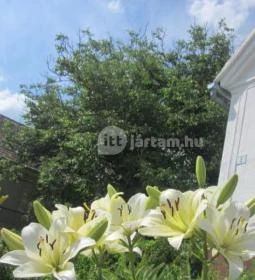 Múltidéző Vendégház