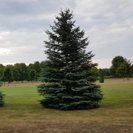 Greenfield Hotel Golf & Spa Bük, Bükfürd? - Környék