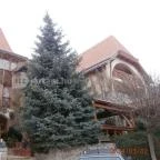 Bagolyvár Fogadó Pécs - Külső kép