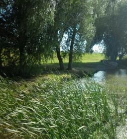 Hableány Hotel étterme