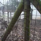 Grandhotel Galya Galyatető - Környék