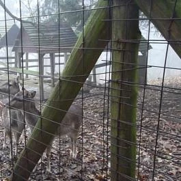 Grandhotel Galya, Galyatető - Környék