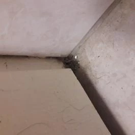 Hotel DAM Fonyód - Egyéb