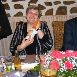 Aranyfácán Vendéglő Sopron - Egyéb