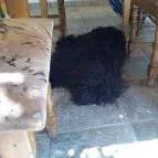 Anna Vendéglő Soltvadkert - Belső