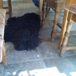 Anna Vendéglő , Soltvadkert - Belső