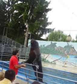 Atlantika Vizividámpark