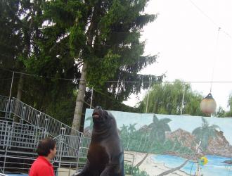 Atlantika Vizividámpark