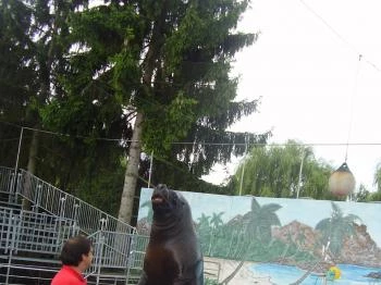 Atlantika Vizividámpark Vásárosnamény