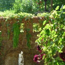 Fried Kastély Hotel Simontornya - Környék