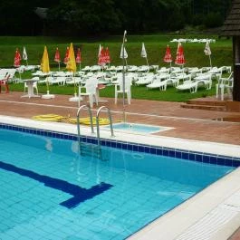 Szent Orbán Erdei Wellness Hotel Kóspallag - Medence/kert