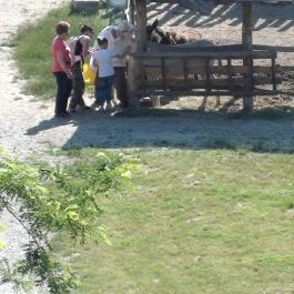 Puchner Kastélyszálló Bikal - Környék