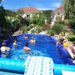 Holiday Vendégház & Szabadidőkert, Járdánháza - Medence/kert