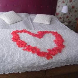 Amfora Apartmanok Gyula - Szobák