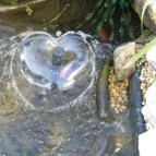 Amfora Apartmanok Gyula - Medence/kert