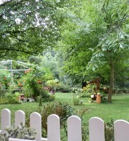 Fenyőgyöngye Vendéglő