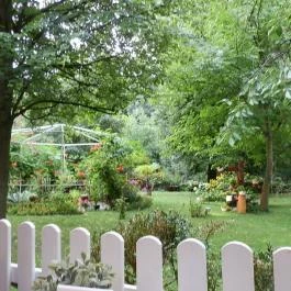 Fenyőgyöngye Vendéglő, Budapest - Külső kép