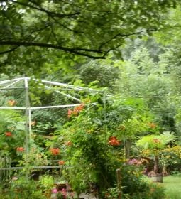 Fenyőgyöngye Vendéglő