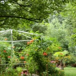 Fenyőgyöngye Vendéglő, Budapest - Külső kép