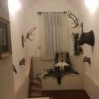 Fenyőharaszt Kastélyszálló Verseg - Belső