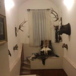 Fenyőharaszt Kastélyszálló, Verseg - Belső