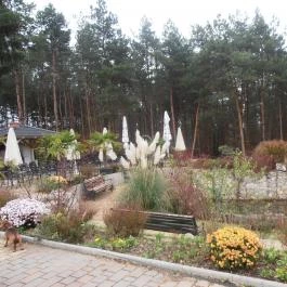 Gosztola Gyöngye-az erdő szállodája Gosztola - Medence/kert