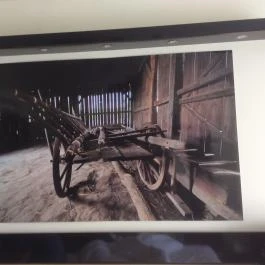 Gotthard Therme Hotel & Conference Szentgotthárd - Egyéb