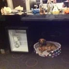 Gotthard Therme Hotel & Conference Szentgotthárd - Belső