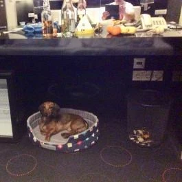 Gotthard Therme Hotel & Conference Szentgotthárd - Belső