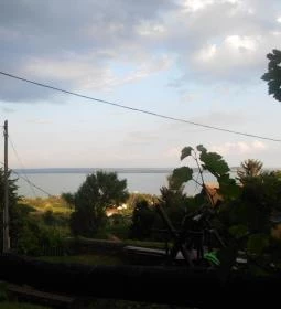 Rózsakő Borpince Étterem