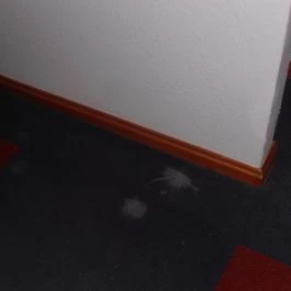 Thermál Hotel Szivek, Berekfürdő - Egyéb