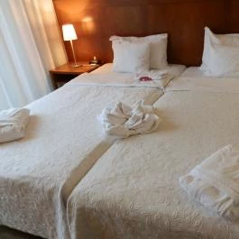 Tisza Balneum Hotel, Tiszafüred - Szobák