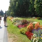 Hunguest Hotel Panoráma Hévíz - Környék